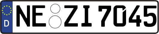 NE-ZI7045
