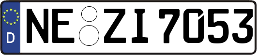 NE-ZI7053