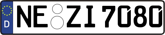 NE-ZI7080