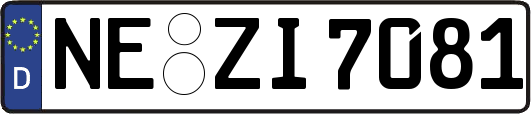 NE-ZI7081