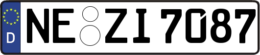 NE-ZI7087