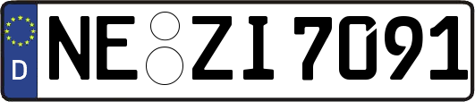 NE-ZI7091