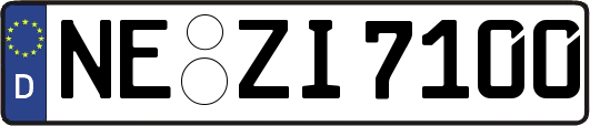 NE-ZI7100