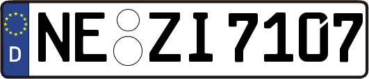 NE-ZI7107