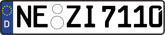 NE-ZI7110