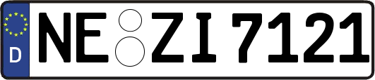 NE-ZI7121