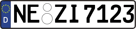 NE-ZI7123