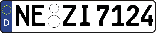NE-ZI7124