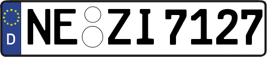 NE-ZI7127