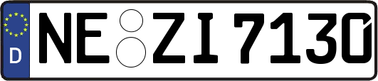 NE-ZI7130