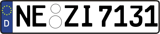 NE-ZI7131