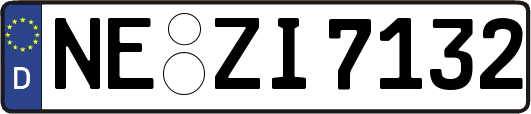 NE-ZI7132