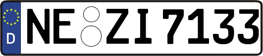NE-ZI7133