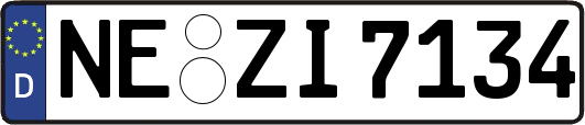 NE-ZI7134