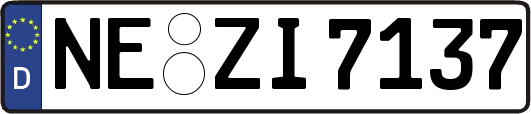 NE-ZI7137