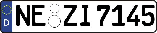 NE-ZI7145