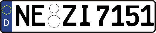 NE-ZI7151