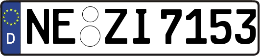 NE-ZI7153