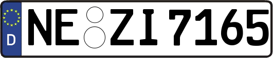 NE-ZI7165