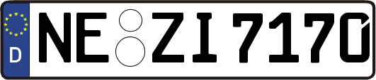 NE-ZI7170