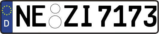 NE-ZI7173