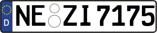 NE-ZI7175