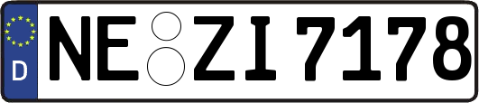 NE-ZI7178