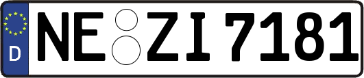 NE-ZI7181