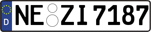 NE-ZI7187
