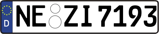 NE-ZI7193