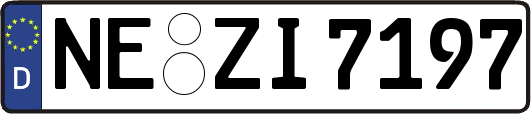 NE-ZI7197