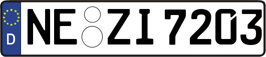 NE-ZI7203