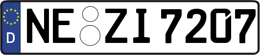 NE-ZI7207