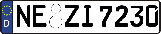 NE-ZI7230