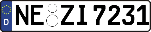 NE-ZI7231