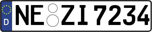 NE-ZI7234