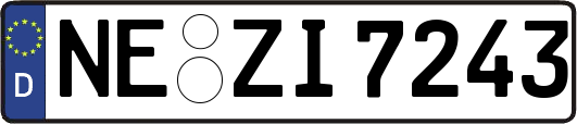 NE-ZI7243