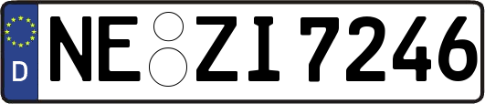 NE-ZI7246