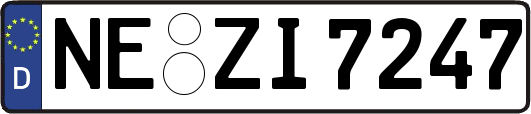 NE-ZI7247