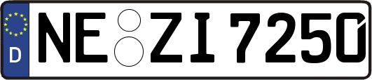 NE-ZI7250