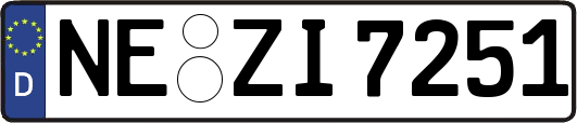 NE-ZI7251