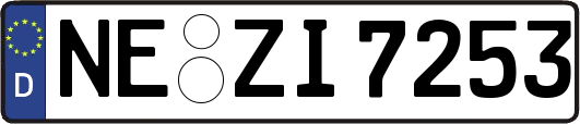 NE-ZI7253