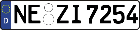NE-ZI7254