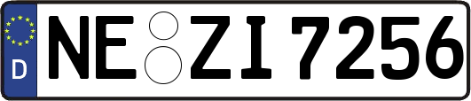 NE-ZI7256