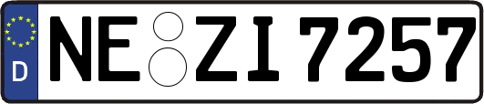 NE-ZI7257