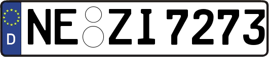 NE-ZI7273