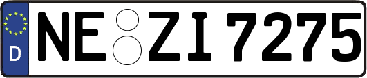 NE-ZI7275