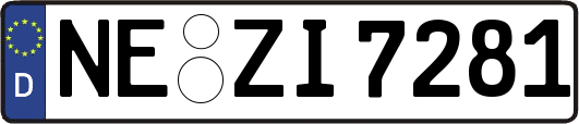 NE-ZI7281