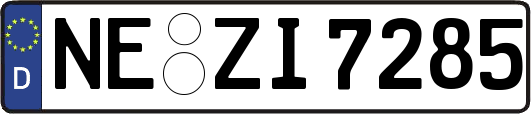 NE-ZI7285
