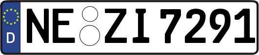 NE-ZI7291